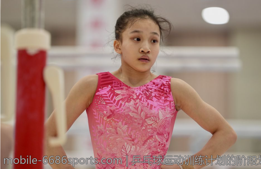 乒乓球运动训练计划的阶段划分与实施